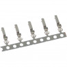 Pin femelle MX-1900