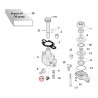 Raccord de durite de pompe à huile 1/8" NPT 90°