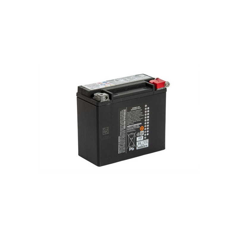 Batterie-Gel-d-origine-Harley