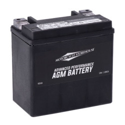 Batterie-AGM-Sealed-V-Rod-VSCR-Buell
