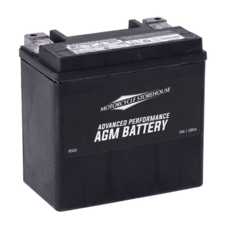 Batterie-AGM-Sealed-V-Rod-VSCR-Buell