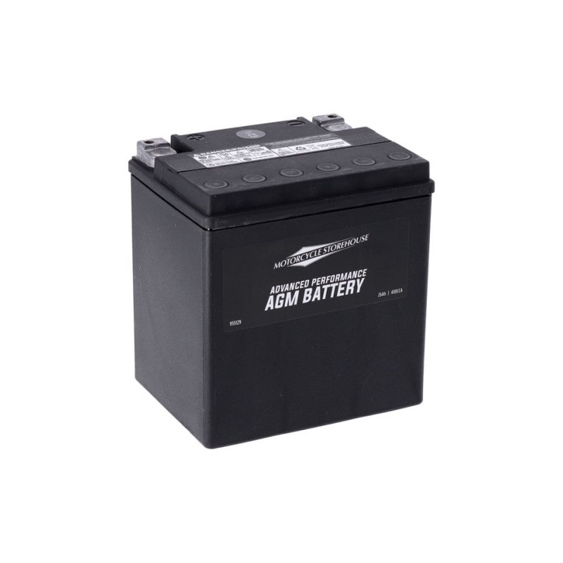 Batterie-AGM-Sealed-pour-FLT-Touring