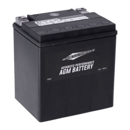 Batterie-AGM-Sealed-pour-FLT-Touring