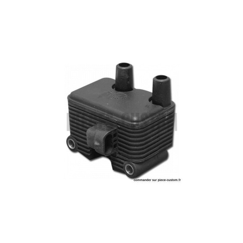 Bobine-d-allumage-Daytona-twin-tec