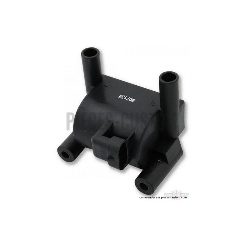 Bobine-0-5-ohm-pour-Twin-Cam