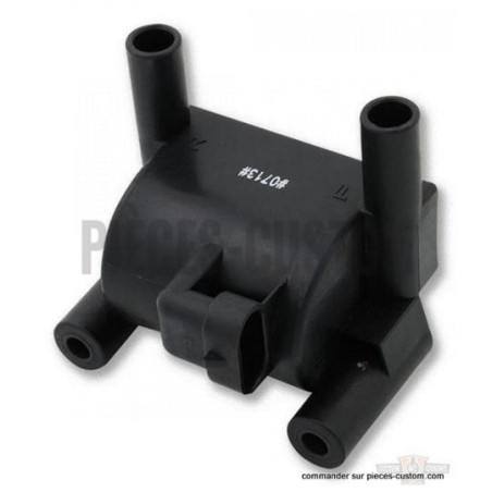 Bobine-0-5-ohm-pour-Twin-Cam