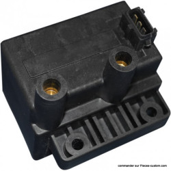 Bobine-d-allumage-pour-Touring
