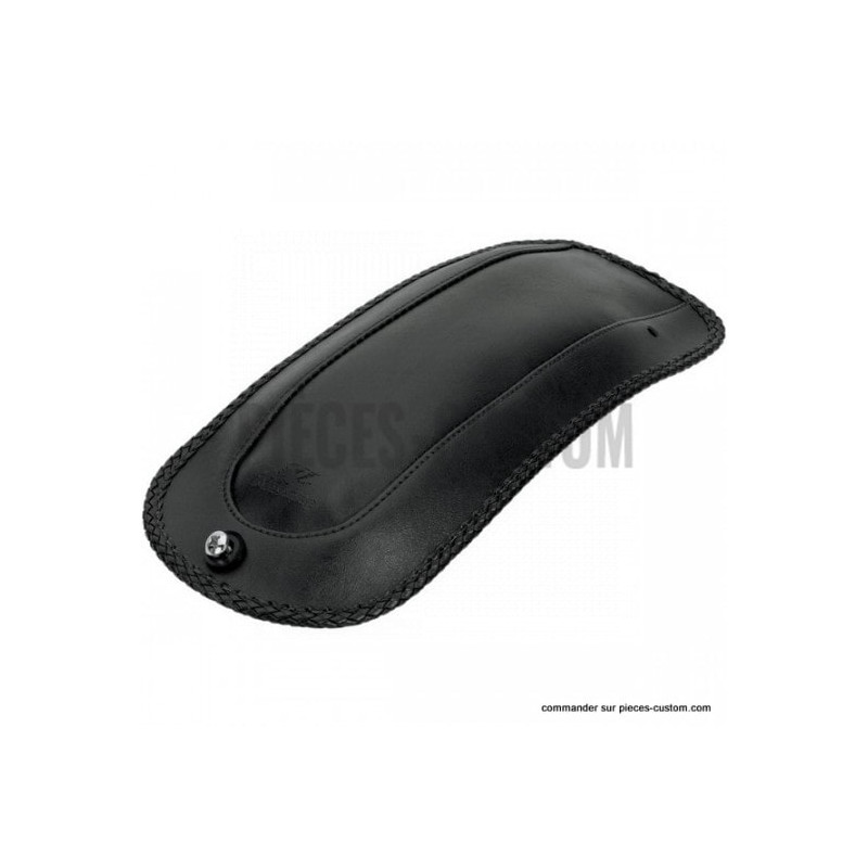 Plastron-lisse-Mustang-pour-Touring-FLH-ref-14050076