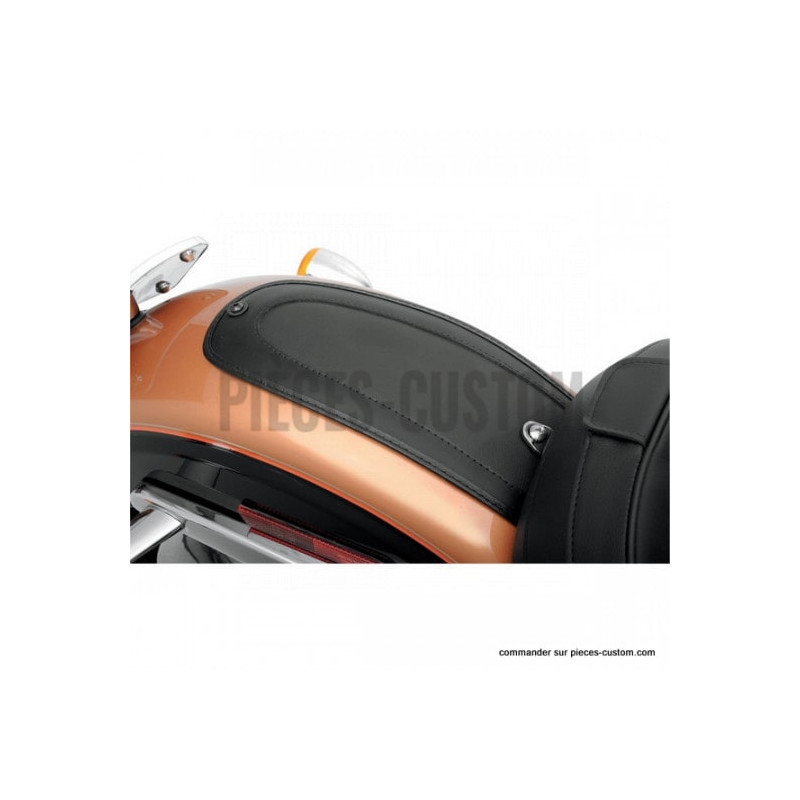 Plastron-modèle-lisse-pour-Dyna-de-2006-à-2017-ref-14050135