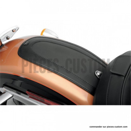 Plastron-modèle-lisse-pour-Dyna-de-2006-à-2017-ref-14050135
