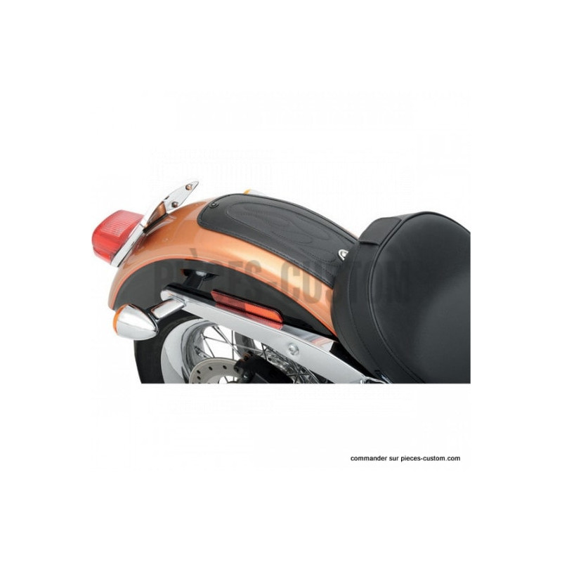 Plastron-modèle-Flammé-pour-Dyna-de-2006-à-2017-ref-14050137