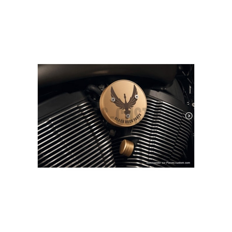 Caches-moteurs-latéraux-Laiton-pour-Victory-ref-748336