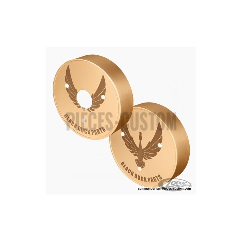 Caches-moteurs-latéraux-finition-Laiton-pour-Victory-ref-748336