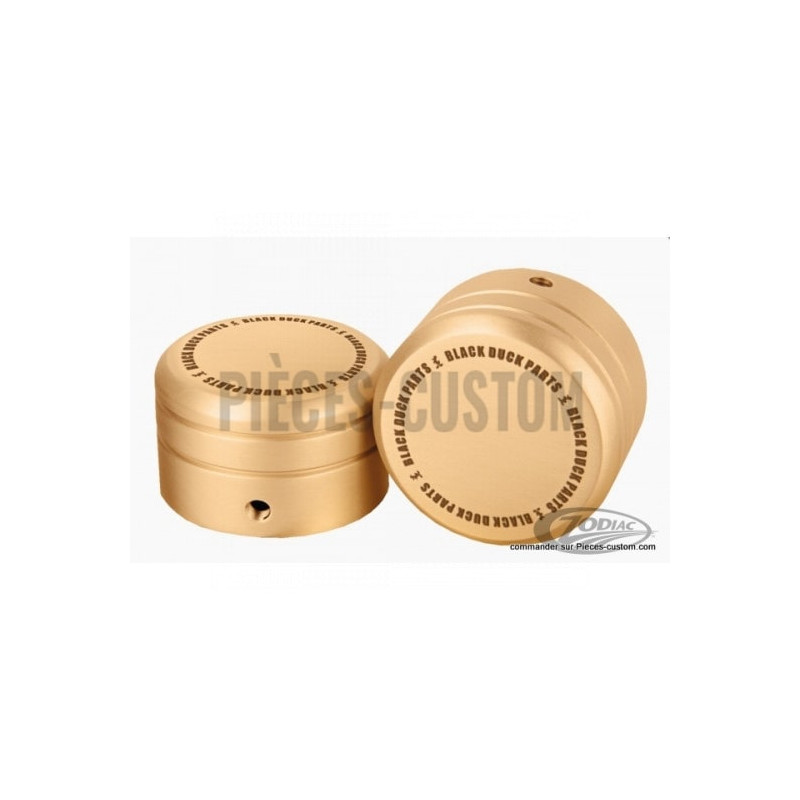 Caches-vis-de-réglage-de-came-Laiton-Victory-ref-748332