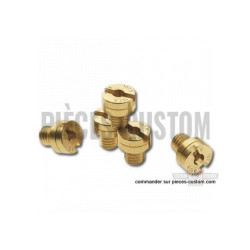 Gicleur-principal-Mikuni-de-170-ref-29748