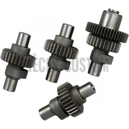 Kit-arbre-cames-N8-Sportster-2000-à-2021-Buell-de-2000-à-2002-ref-DS199078