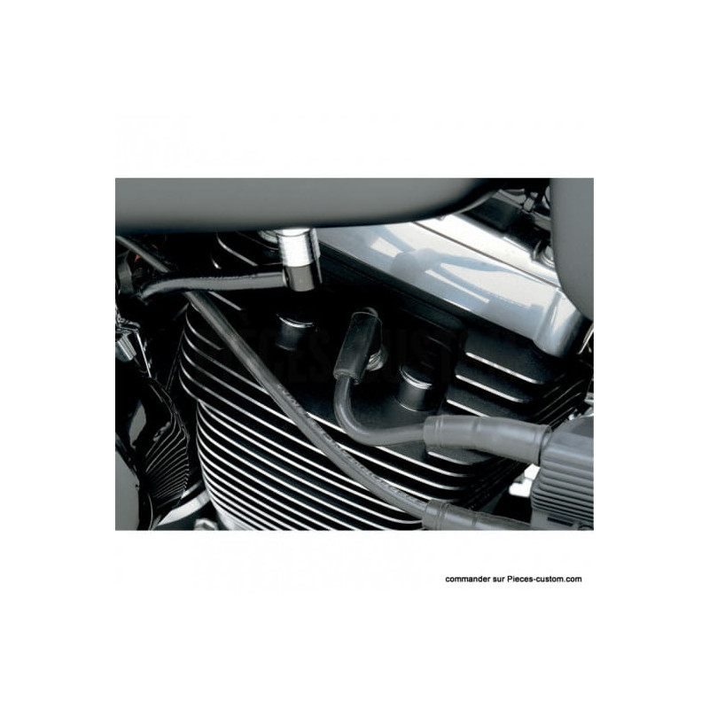 Caches-écrous-de-culasses-chromé-Twin-Cam-et-XL-ref-24020073