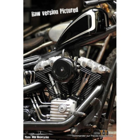 Caches-culbuteurs-EMD-Brut-Twin-Cam-ref-889938