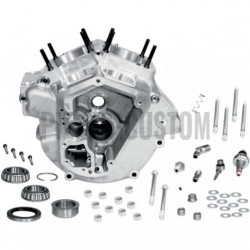 Carter-moteur-Super-Stock-S-S-standard-pour-Big-Twin-de-1970-à-1984-ref-DS194305