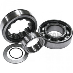 Kit-roulements-arbre-came-pour-Twin-Cam-de-1999-à-2006-ref-09240277-OEM-8983-8990A