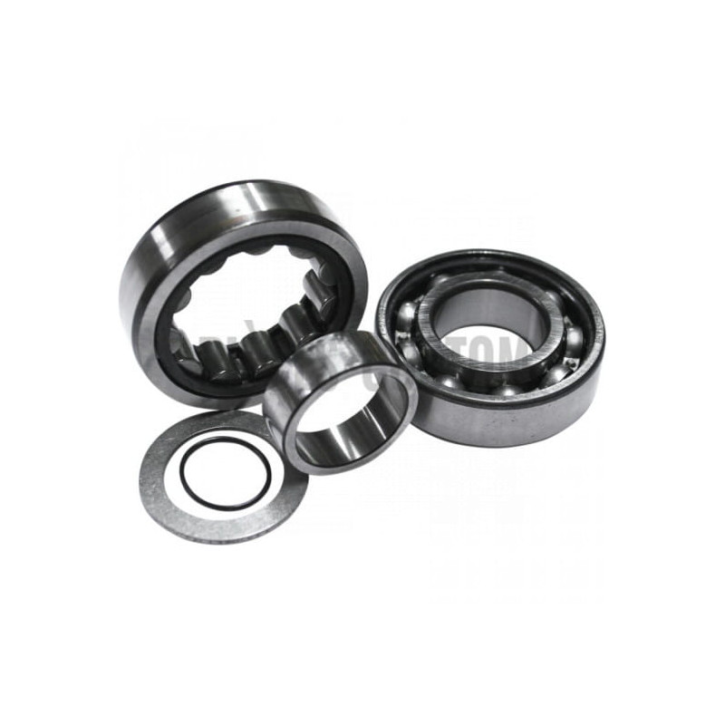 Kit-roulements-arbre-came-pour-Twin-Cam-de-1999-à-2006-ref-09240277-OEM-8983-8990A