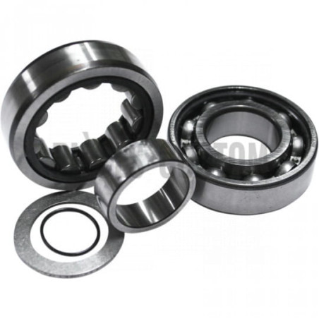 Kit-roulements-arbre-came-pour-Twin-Cam-de-1999-à-2006-ref-09240277-OEM-8983-8990A