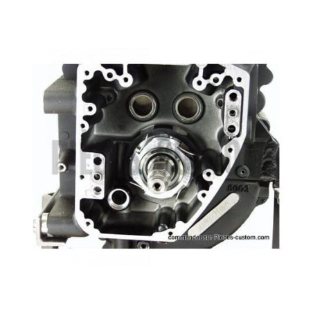 Soupapes-de-reniflard-Twin-Cam-88-de-99-02-ref-601115