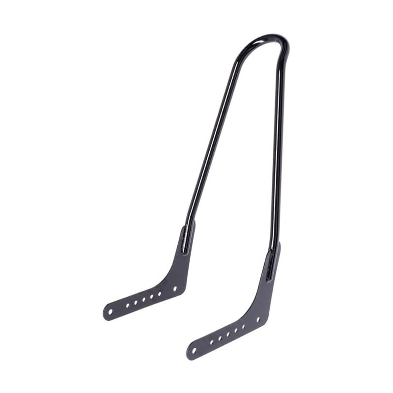Kit-Sissy-Bar-de-21-pouces-noir-pour-Softail-M8-de-2018-à-2026-ref-577053