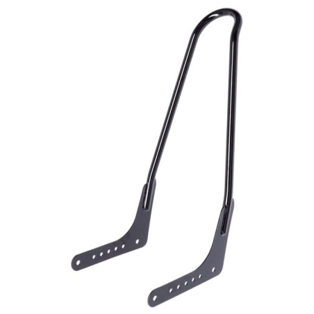 Kit-Sissy-Bar-de-21-pouces-noir-pour-Softail-M8-de-2018-à-2026-ref-577053