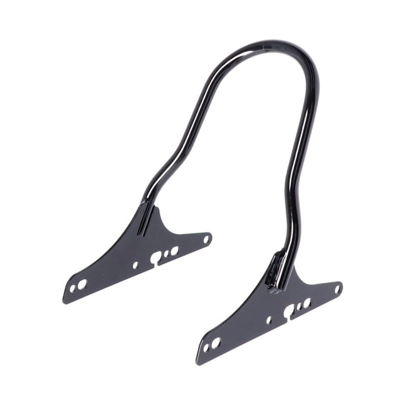 Sissy-Bar-fixe-noir-de-10-5-pouces-pour-XL-Sportster-de-2016-à-2022-ref-577045