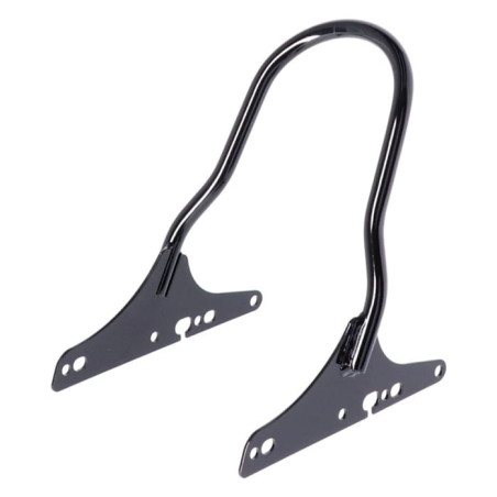 Sissy-Bar-fixe-noir-de-10-5-pouces-pour-XL-Sportster-de-2016-à-2022-ref-577045