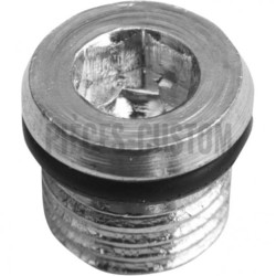 Vis-de-vidange-carter-primaire-ref-11070339