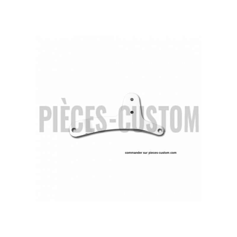 Plaques-Latérales-de-Sissy-bar
