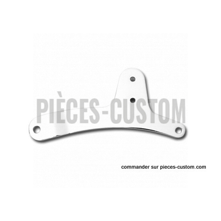 Plaques-Latérales-de-Sissy-bar