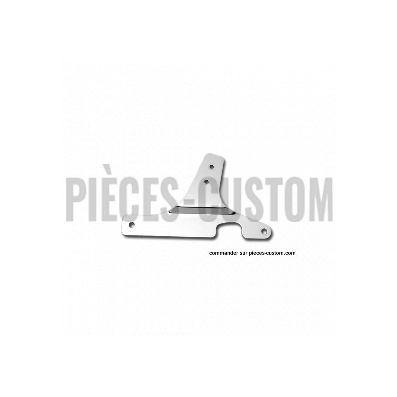 Plaques-Latérales-de-Sissy-Bar