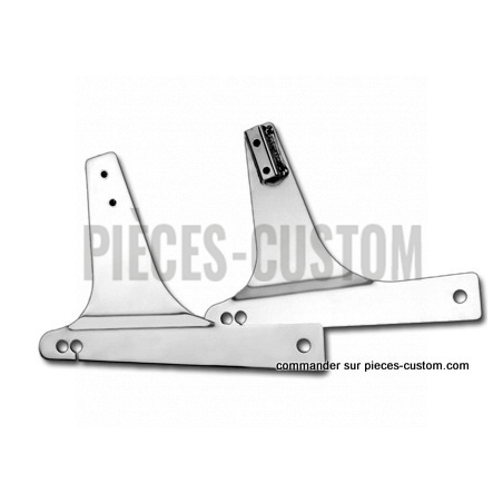 Plaques-Latérales-de-Sissy-Bar