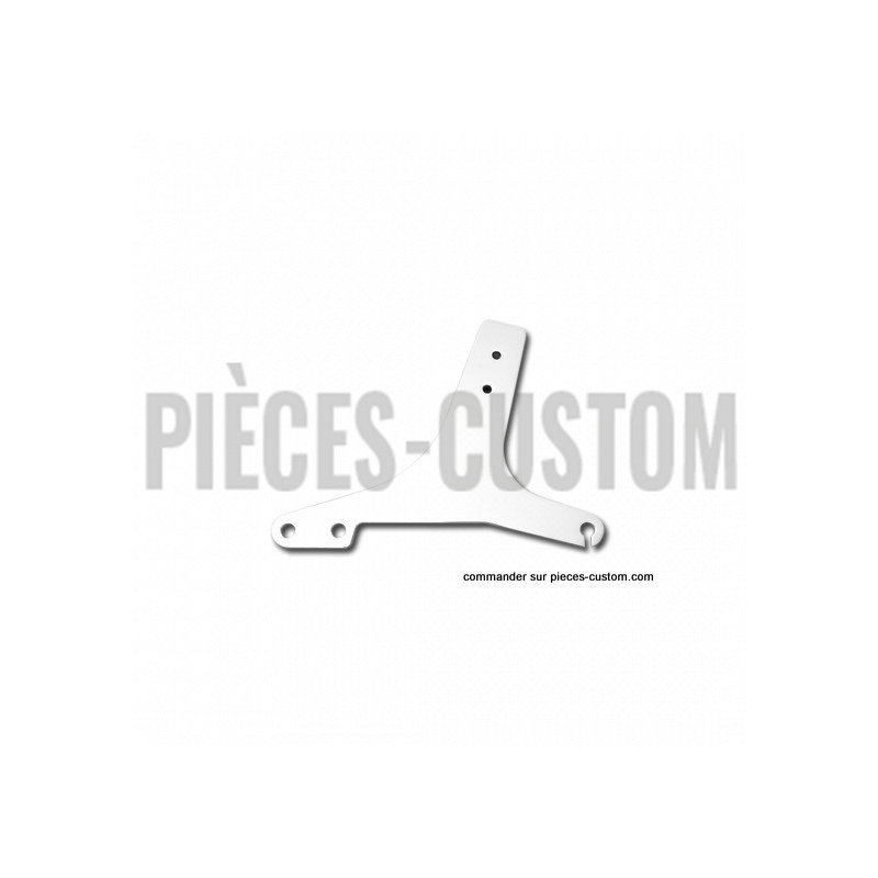 Plaques-Latérales-de-Sissy-Bar