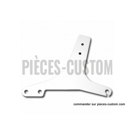 Plaques-Latérales-de-Sissy-Bar