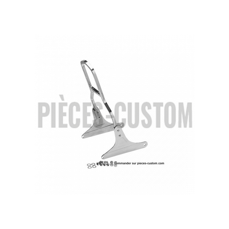 Plaques-Latérales-de-Sissy-bar