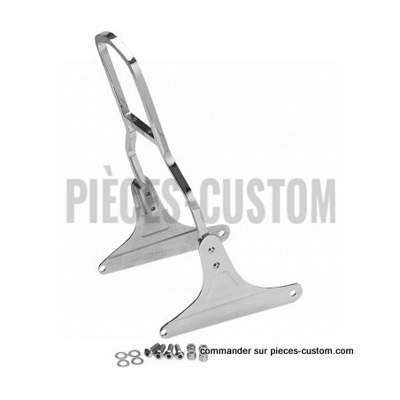 Plaques-Latérales-de-Sissy-bar