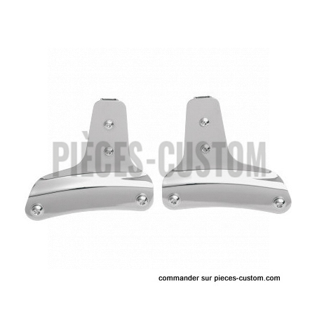 Plaques-Latérales-Sissy-bar