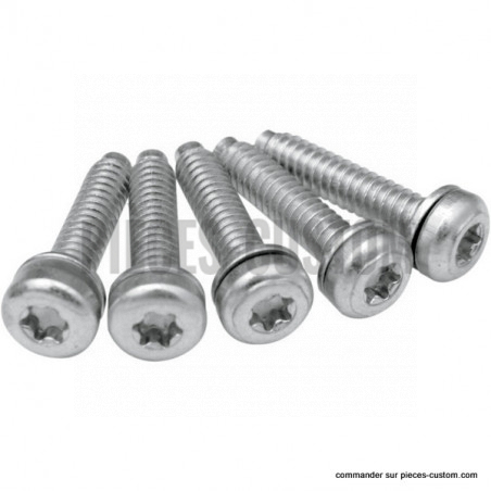 Kit-de-vis-pour-pompe-à-essence-Sportster