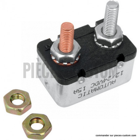 Fusible-2-poles-15A