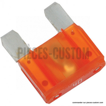 Fusible-2-broches-40A