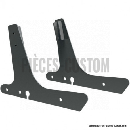 Plaques-Latérales-Sissy-bar