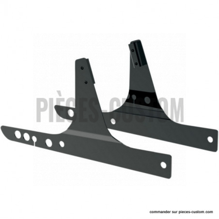 Plaques-de-Sissy-bar