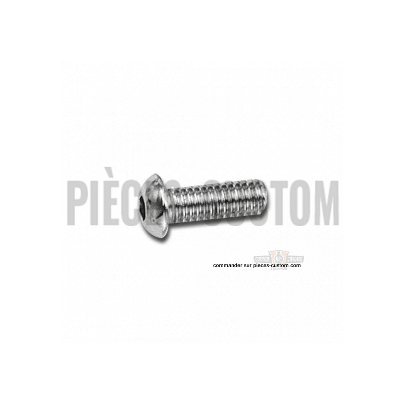 Vis-Tête-bombée-1/4-20-X-1/2"-chromé
