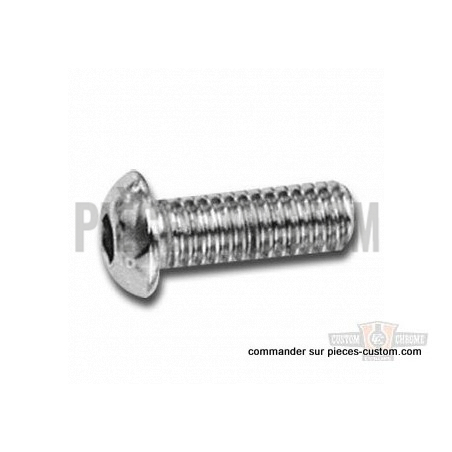 Vis-Tête-bombée-1/4-20-X-2"-1/2-chromé