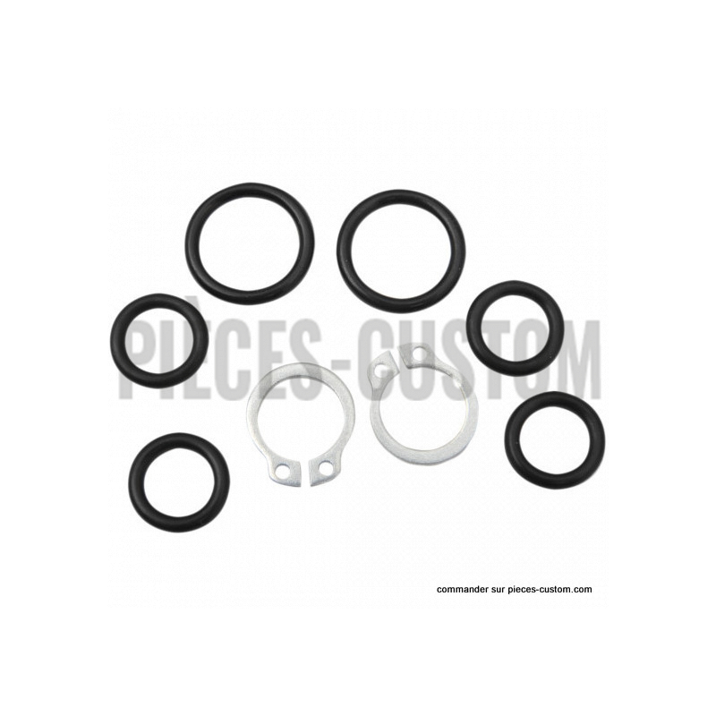 Kit-joints-pour-flexible-essence-Goodridge