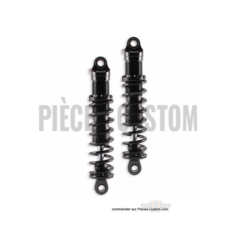 Amortisseurs-Öhlins-Twin-S36D